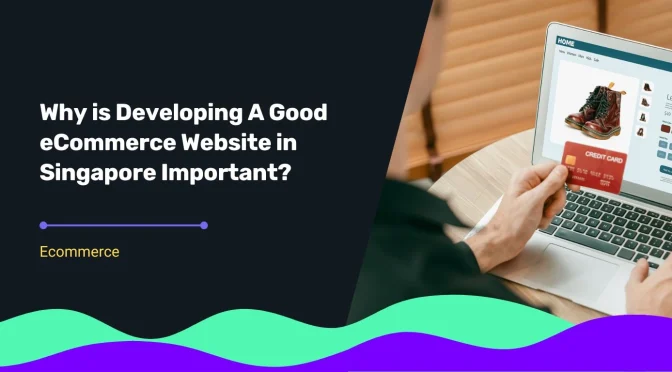 eCommerce website