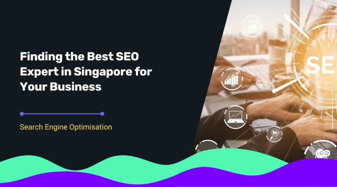blog cover for Finding the Best SEO Expert in Singapore for Your Business