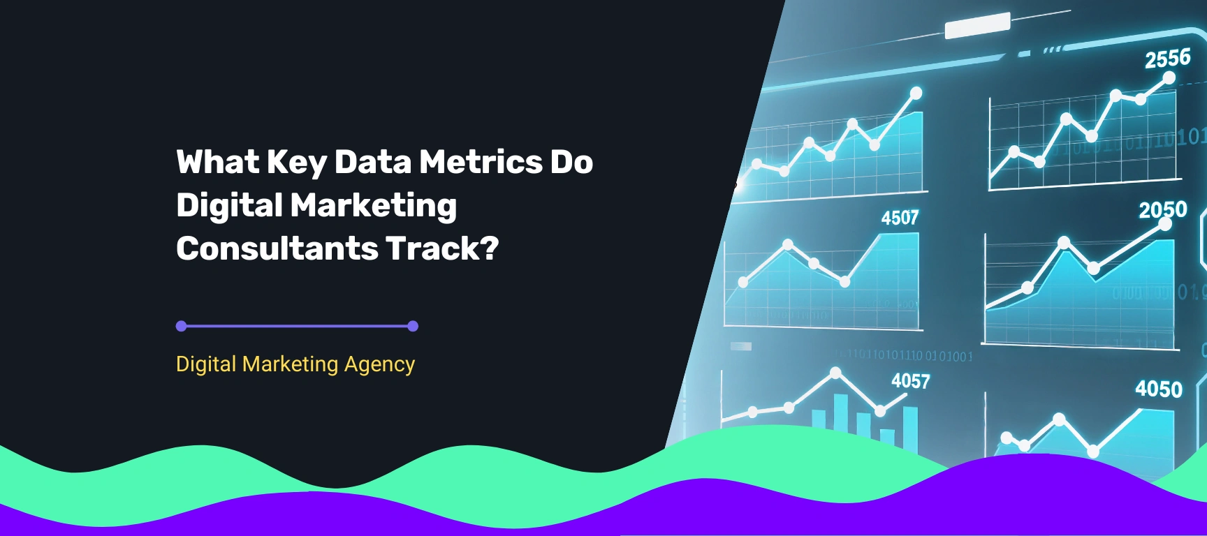 Blog cover for post title What Key Data Metrics Do Digital Marketing Consultants Track, while showing illustration of data tracking graphs.